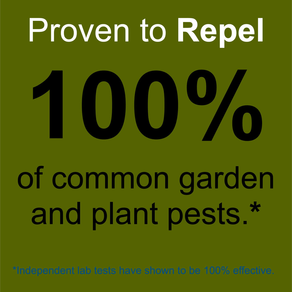 Plant and Garden Pest Control Spray - 32 oz | Plant Based Natural Non-Toxic | Premo Guard