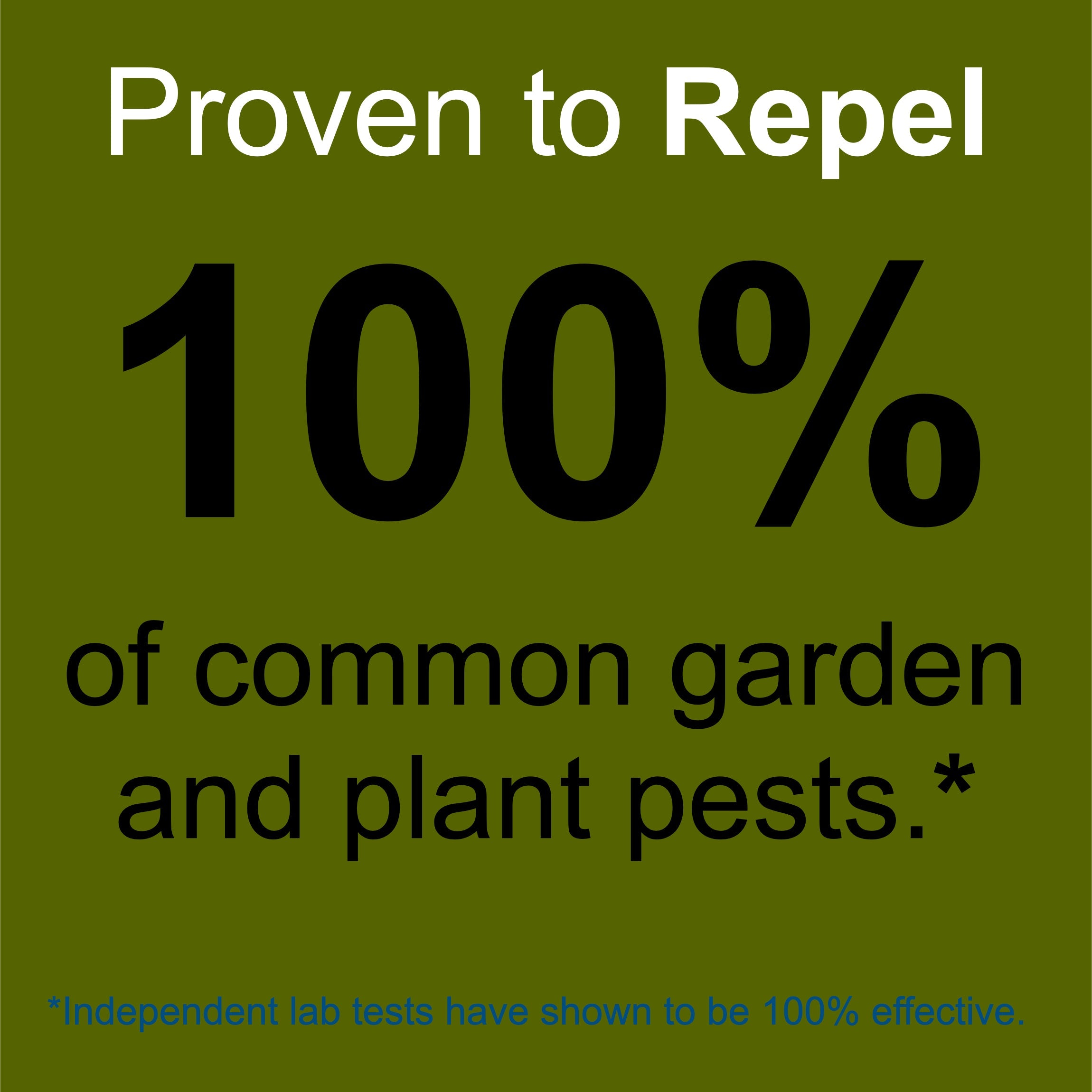 Plant and Garden Pest Control Spray - 32 oz | Plant Based Natural Non-Toxic | Premo Guard