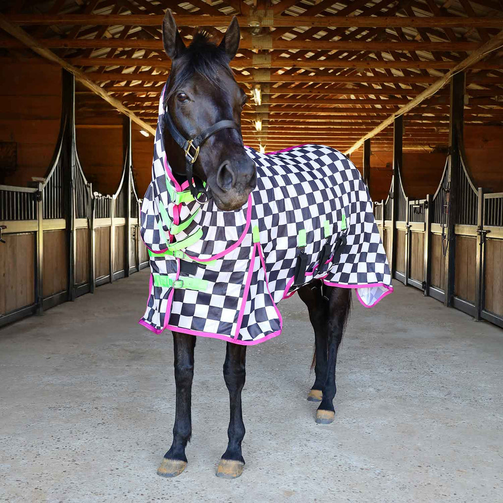 Pre-Sale Jeffers Expression Softmesh Combo Neck Horse Fly Sheet