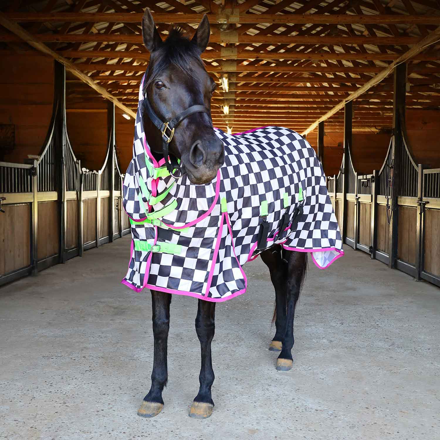 Pre-Sale Jeffers Expression Softmesh Combo Neck Horse Fly Sheet