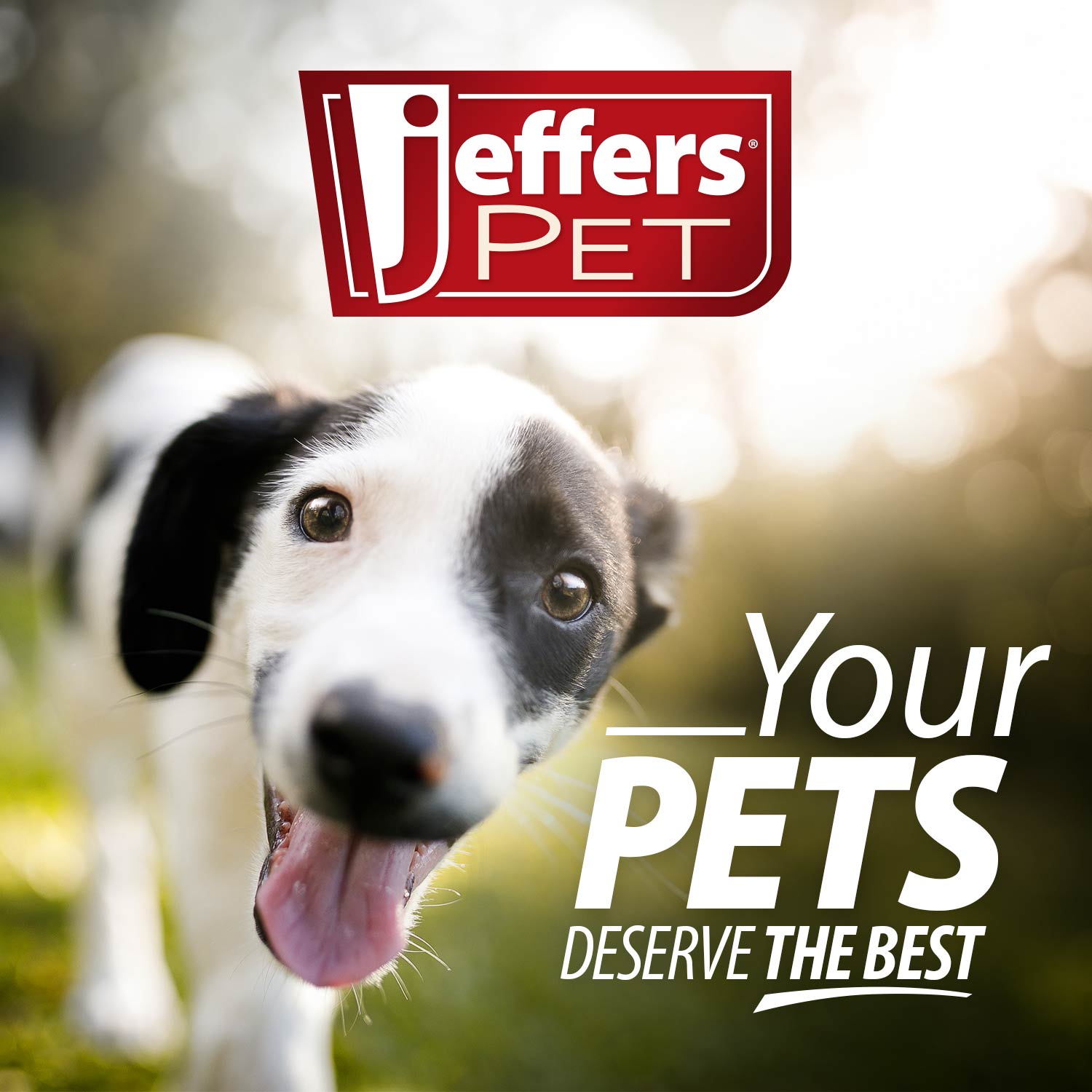 Jeffers Red Bouncing Ball with Waves Natural Rubber Dental Dog Chew Toy for Energetic Play