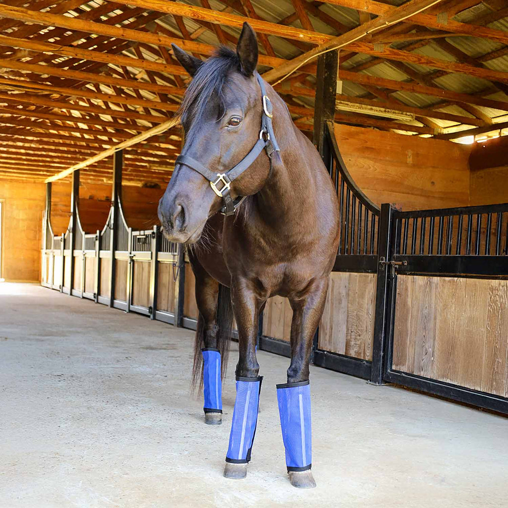 Pre-Sale Jeffers Romper Stomper "Stomp-Free" Fly Boots for Horses, 4 pack