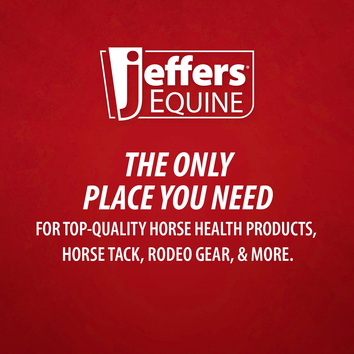 Jeffers Equine Simply Natural Horse Shampoo for Sensitive Skin