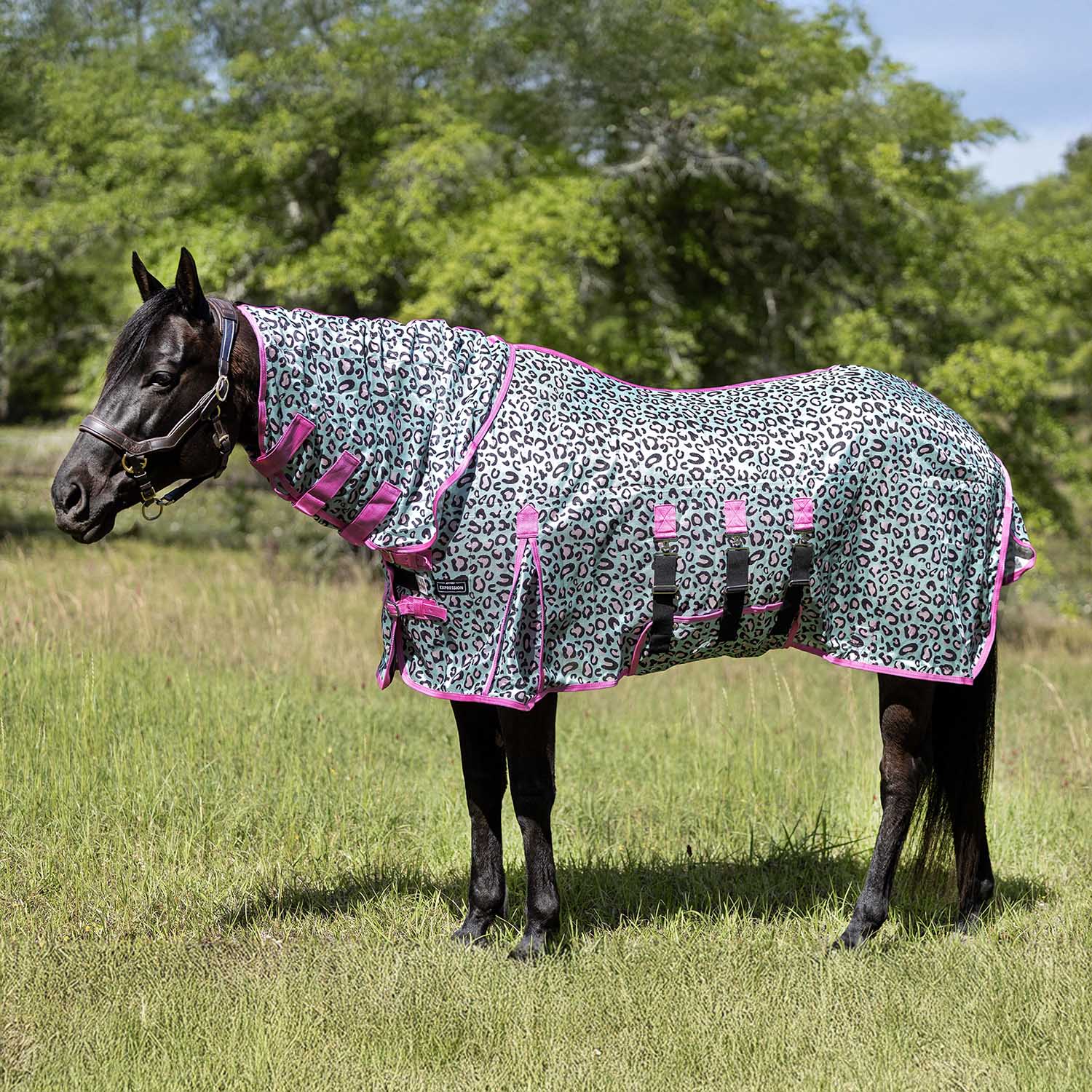 Pre-Sale Jeffers Expression Softmesh Combo Neck Horse Fly Sheet